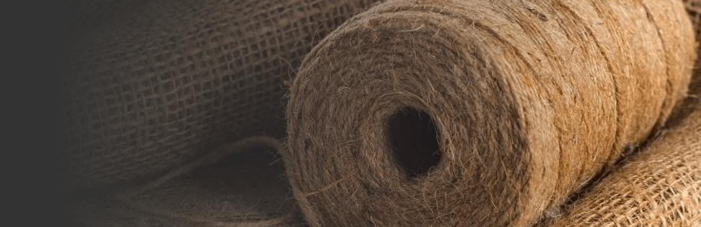 Axon Corporation Pty Ltd