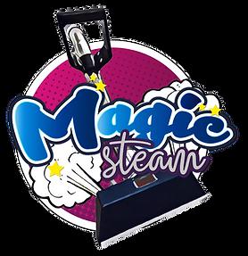 Magic Steam Carpet Cleaning-logo