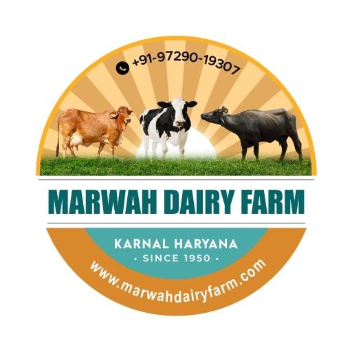 marwah-dairy-farm