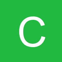 cheedynamicseattle
