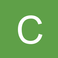 cruiseaudiology