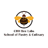 cho-bee-labs-academy