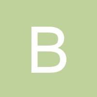 Owner avatar
