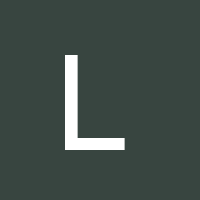 Owner avatar