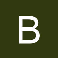 Owner avatar