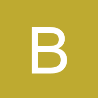 Owner avatar