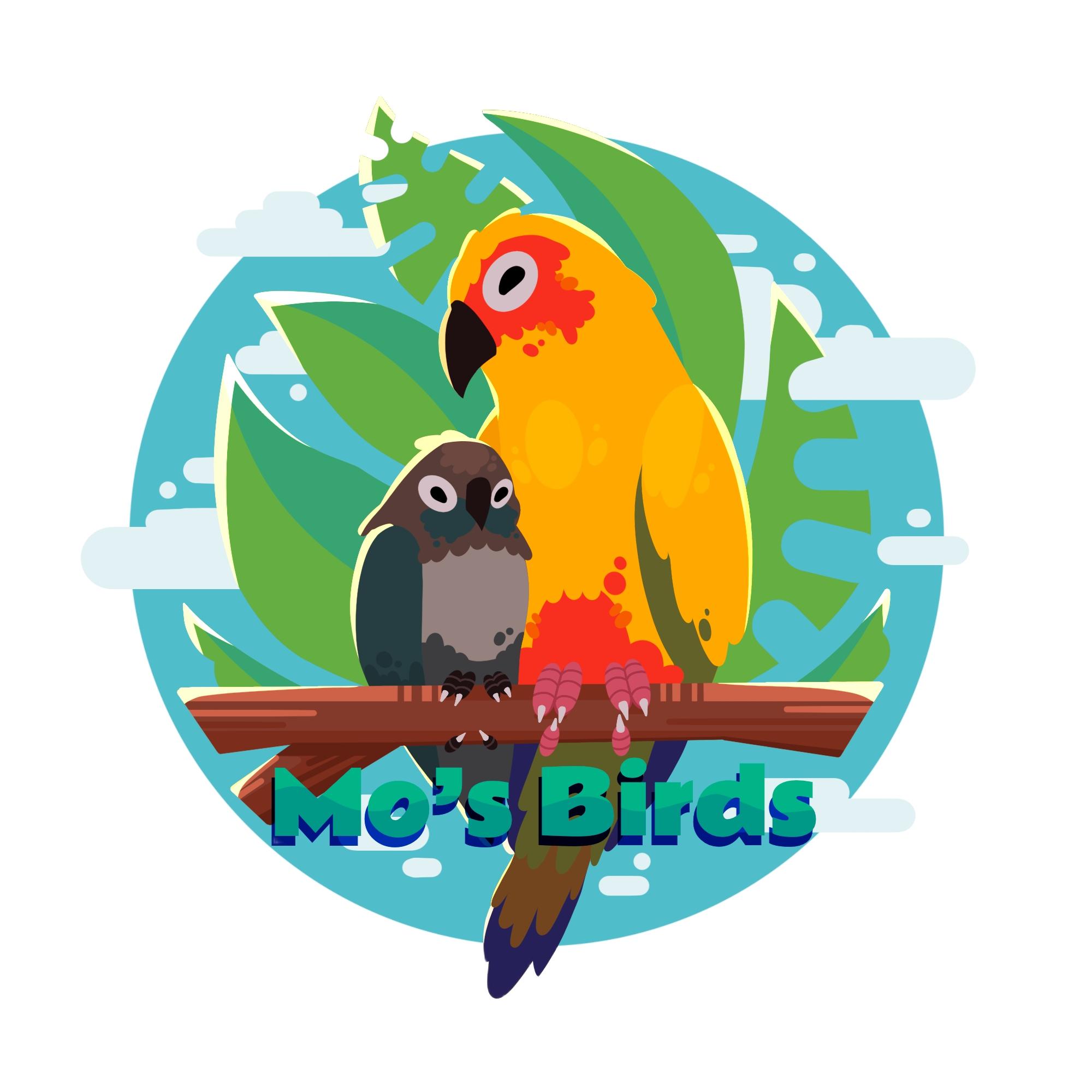 Owner avatar