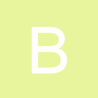 Owner avatar