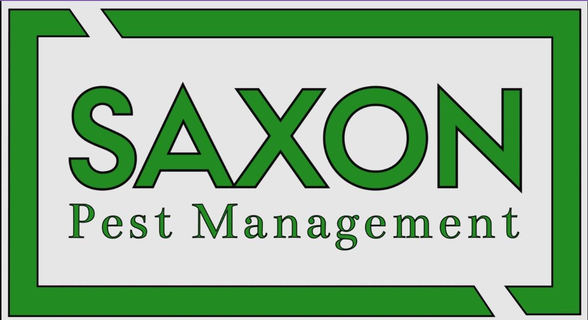 saxonpest111