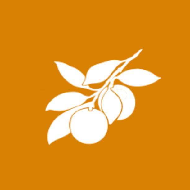 Owner avatar