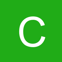Owner avatar