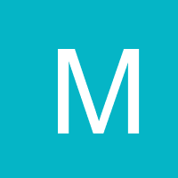 mvinternationalnet