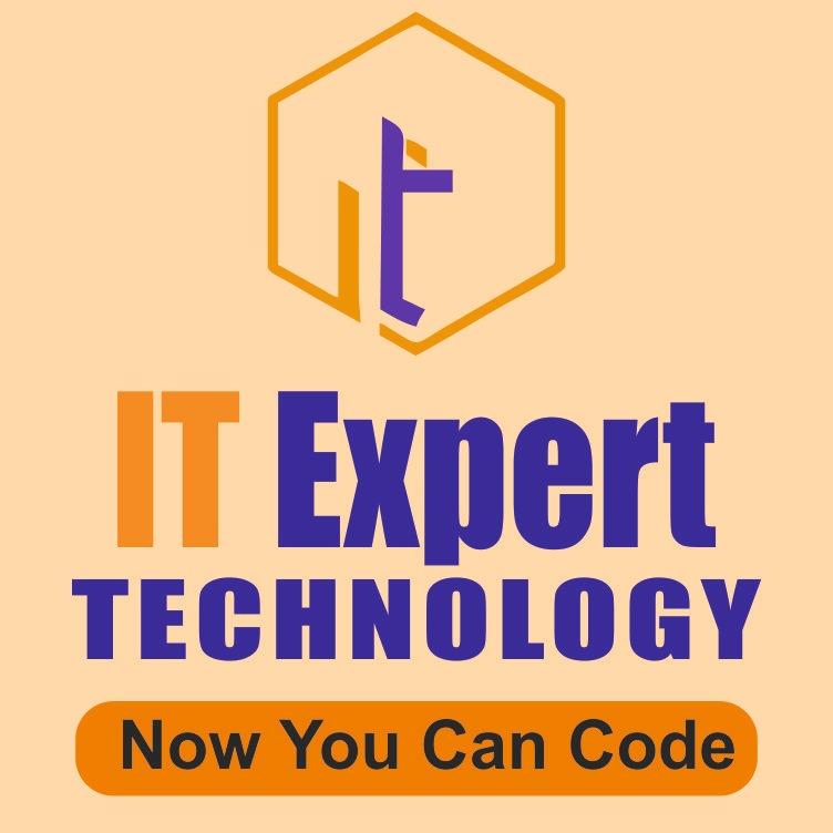 IT Expert