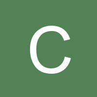 Owner avatar