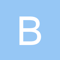 blueridgeautocga