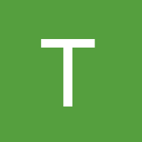 thebrazilianpainter