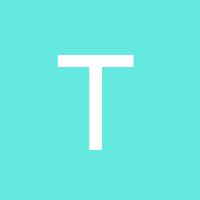 thinlizzynz