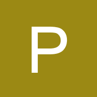 paylessautomart