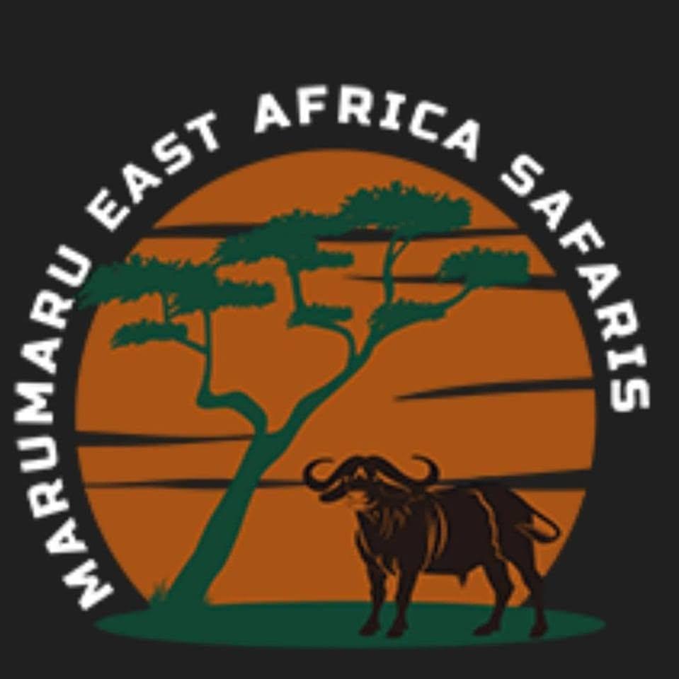 marumarueastafricasafaris