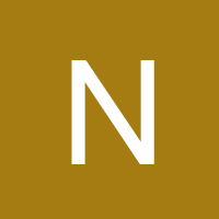 nelsondigital