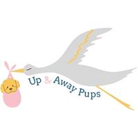 Owner avatar